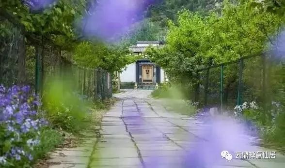 【醉美時(shí)節(jié)】踏青賞花 禪修養(yǎng)生 4月春光正當(dāng)時(shí)！美好盡在云鼎禪意仙居