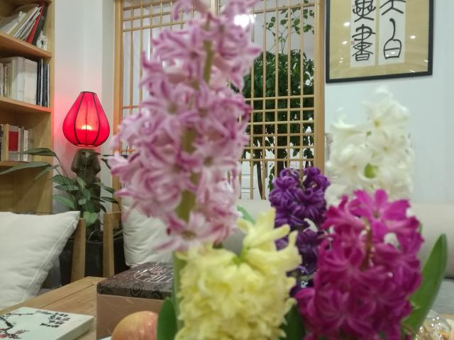 璦瑅空間茶學院