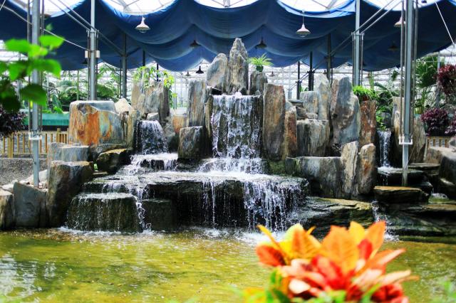 金豐農(nóng)科園