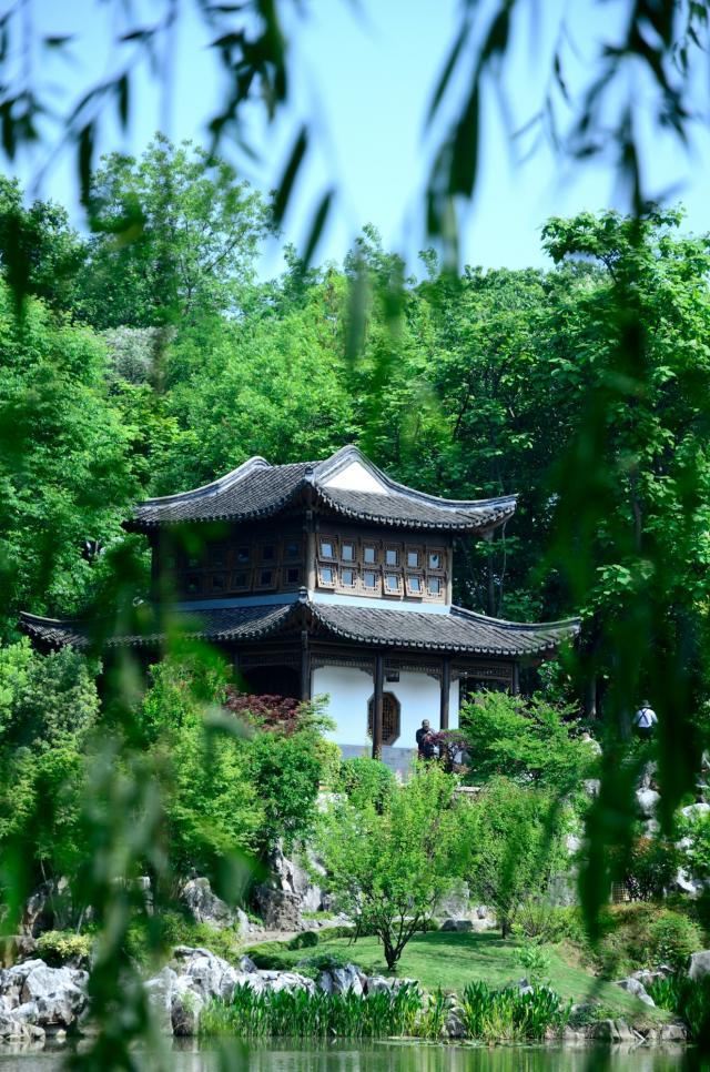 南京學宮旅游有限公司鳴羊街分公司（愚園景點）