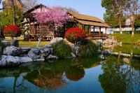 南京學宮旅游有限公司鳴羊街分公司（愚園景點）